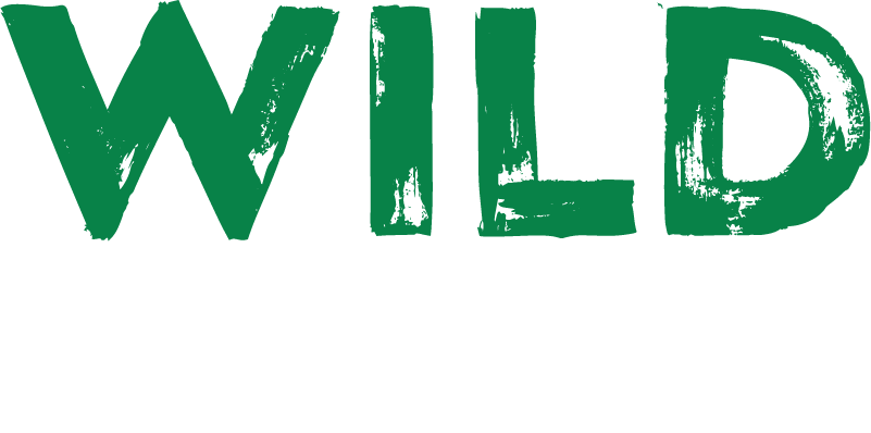 Wild casino $100 free spins no deposit